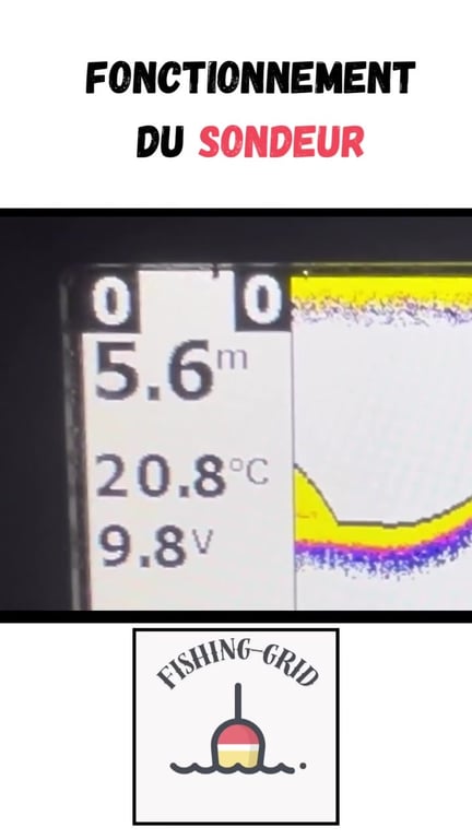 Comment lire et interpréter son sondeur de pêche efficacement