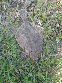 Avatar de frederick_boudet_3659