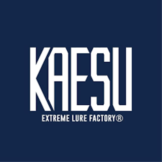 Logo Kaesu