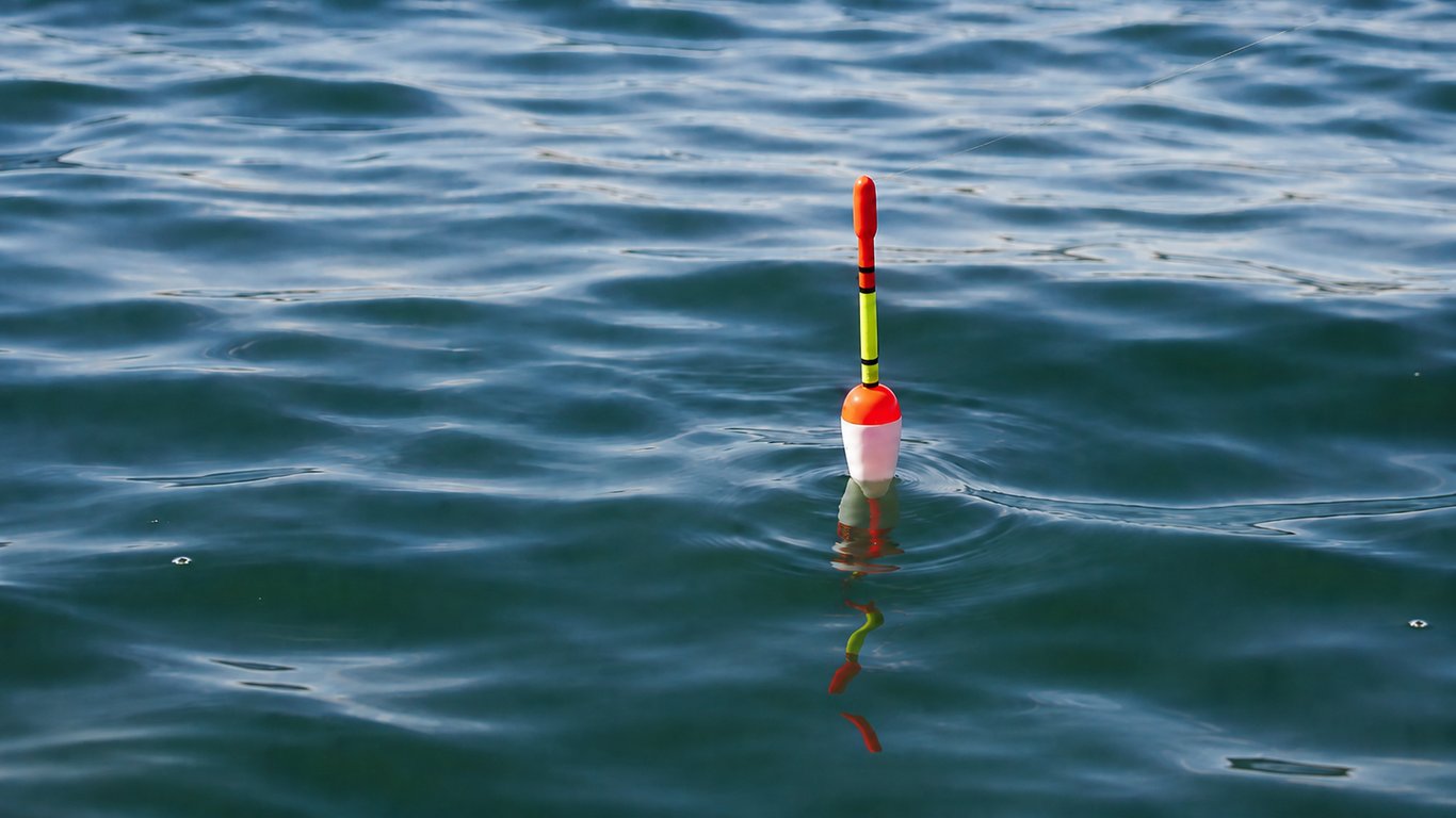 Flotteur pêche mulet