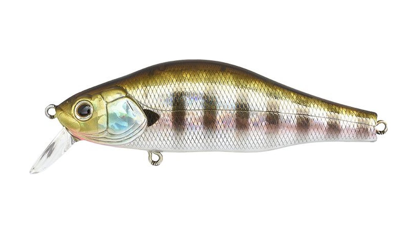 Poisson nageur suspending