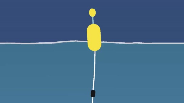 Pêche de la dorade grise au bouchon : montage et technique efficace