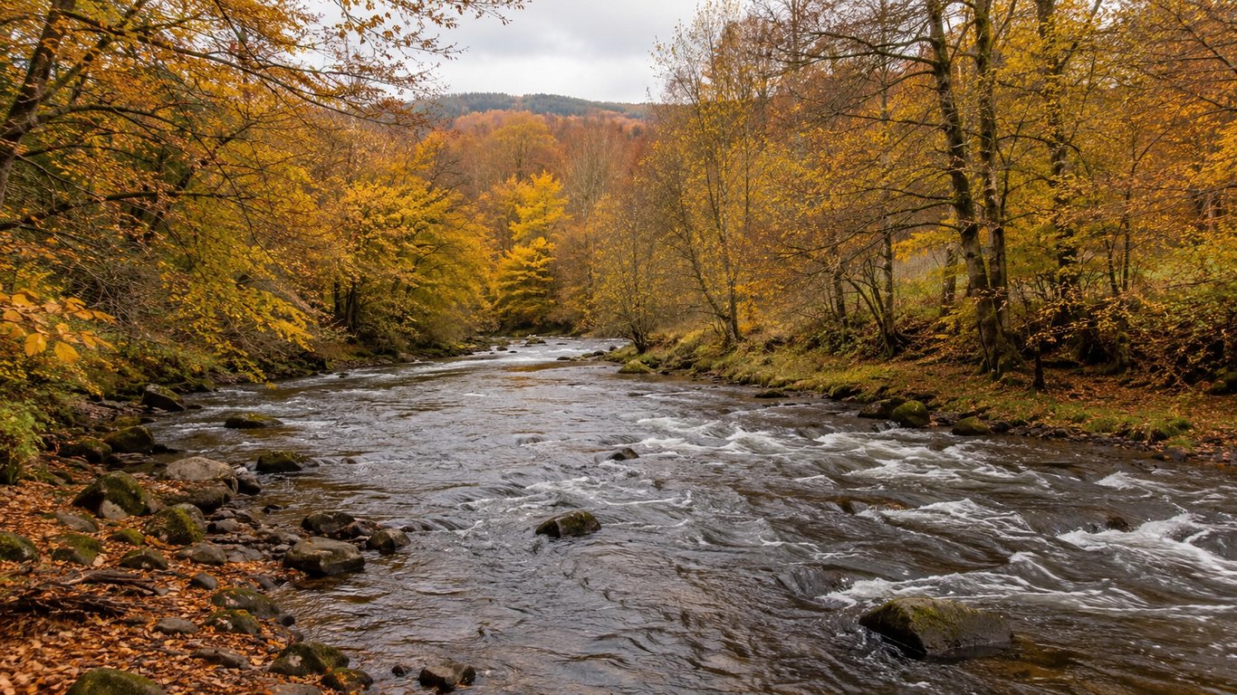 Rivière