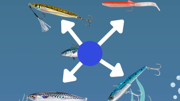 4 leurres indispensables pour réussir la pêche du maquereau