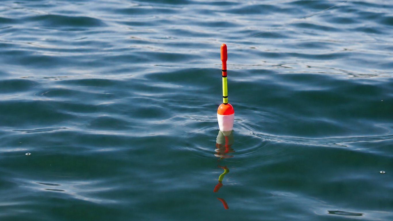 Pêche de la dorade grise au bouchon : montage et technique efficace