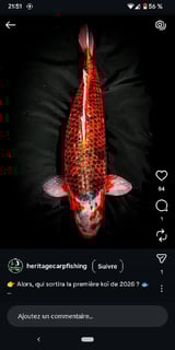 Avatar de Ethanpechegers