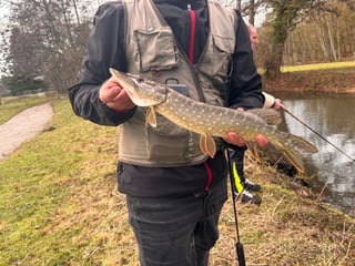 Avatar de corentin_ehanno_5509