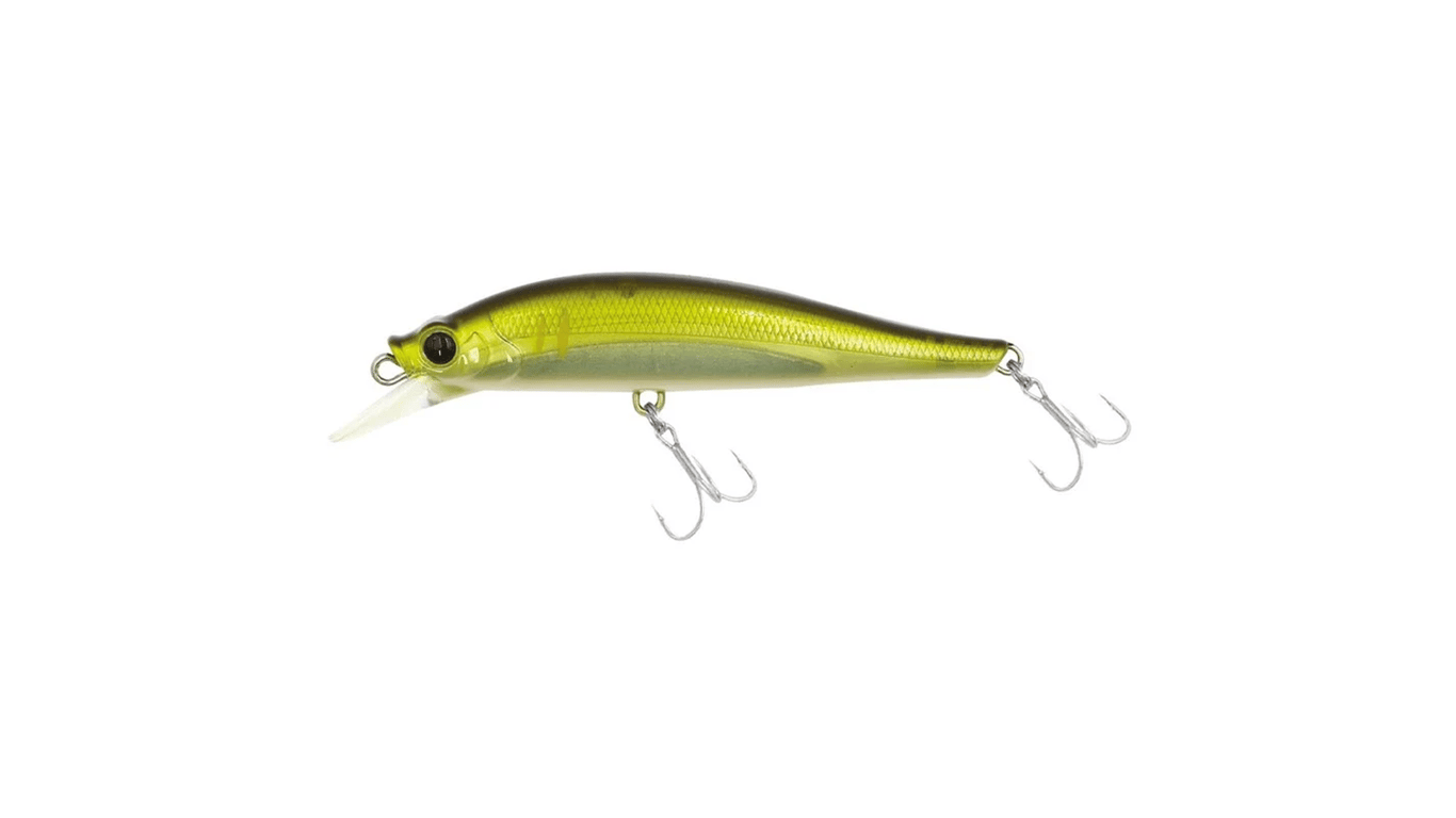 le minnow
