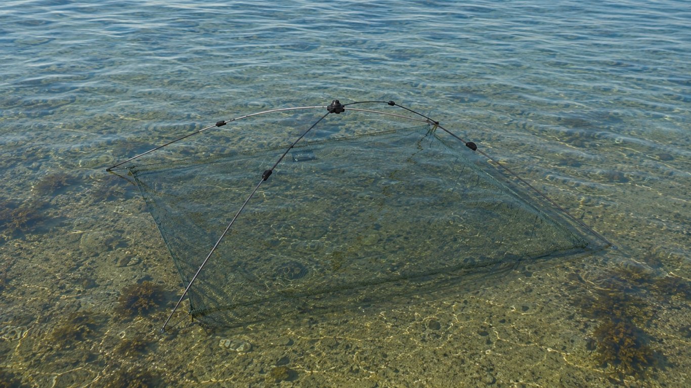 Top 5 des appâts pour la pêche de l’éperlan au carrelet