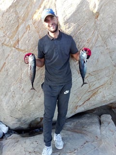 Avatar de lounis_lounis_5741