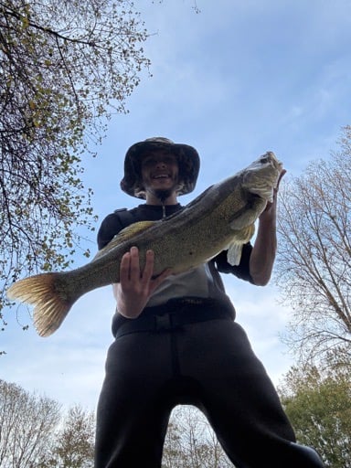 Avatar de carnattaque