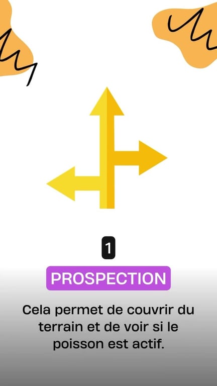 Pêche aux poissons nageurs : guide complet pour débuter