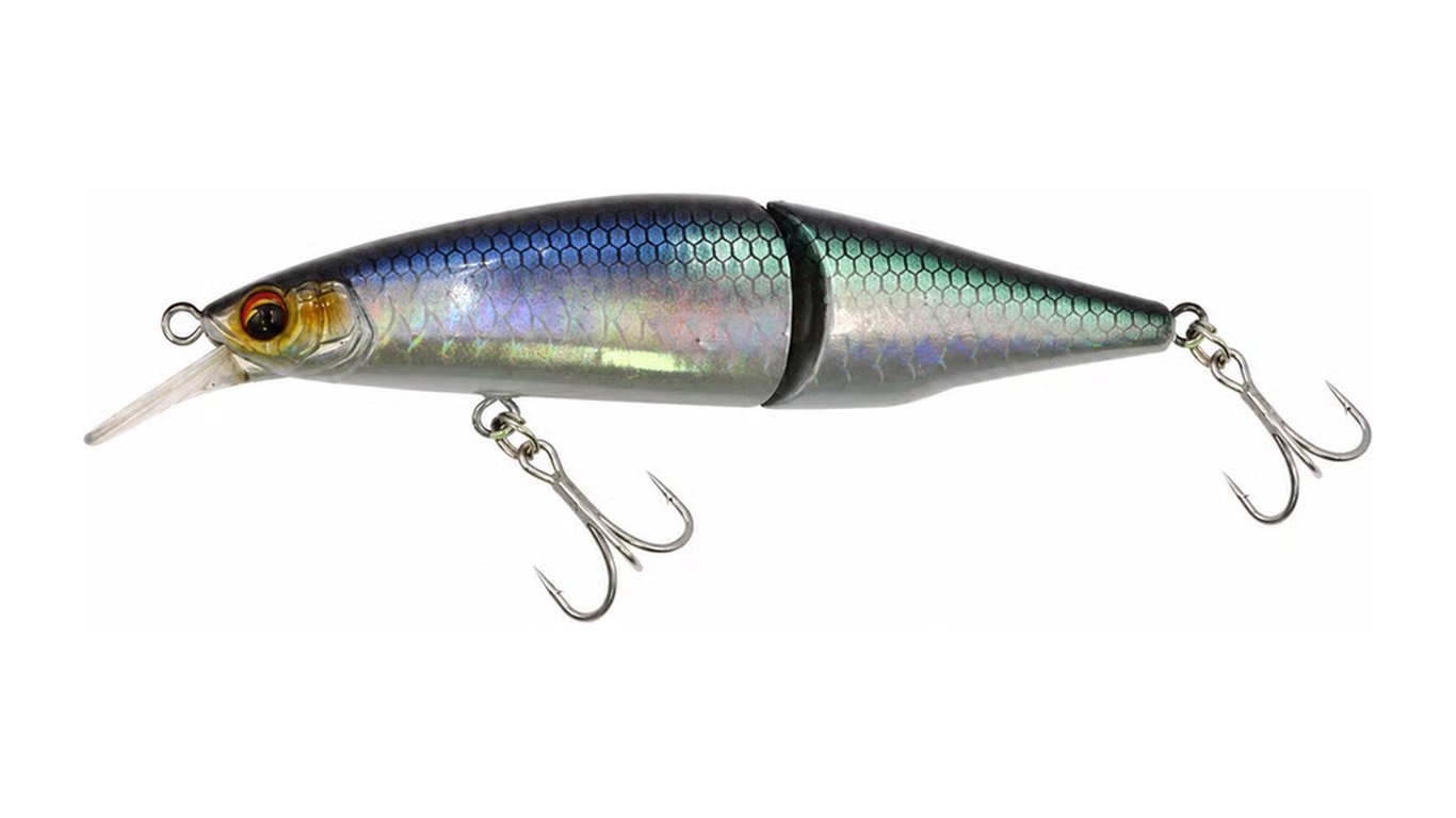 Poisson nageur