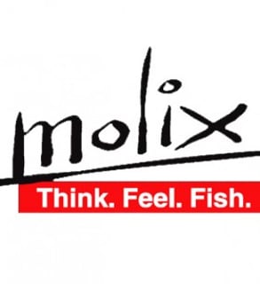 Logo Molix