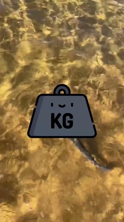 Pêche du bar au printemps : guide complet du bord de mer