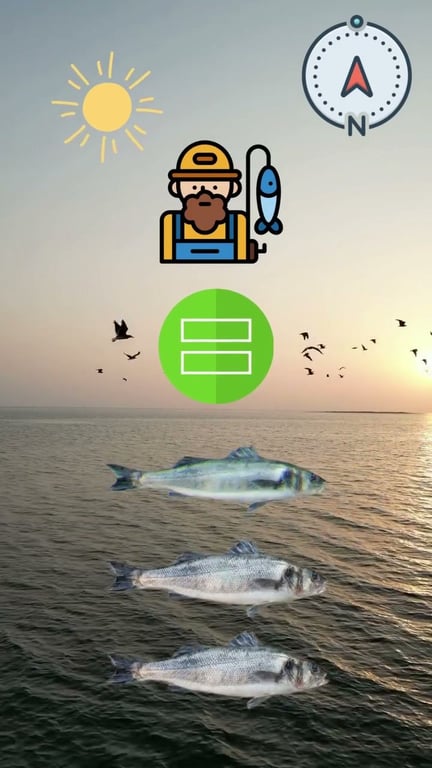 Nouvelle réglementation pêche en mer 2026 : quotas et déclarations