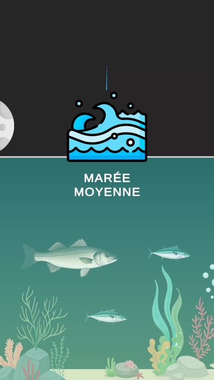 Histoire et science des marées : comprendre leur naissance en France