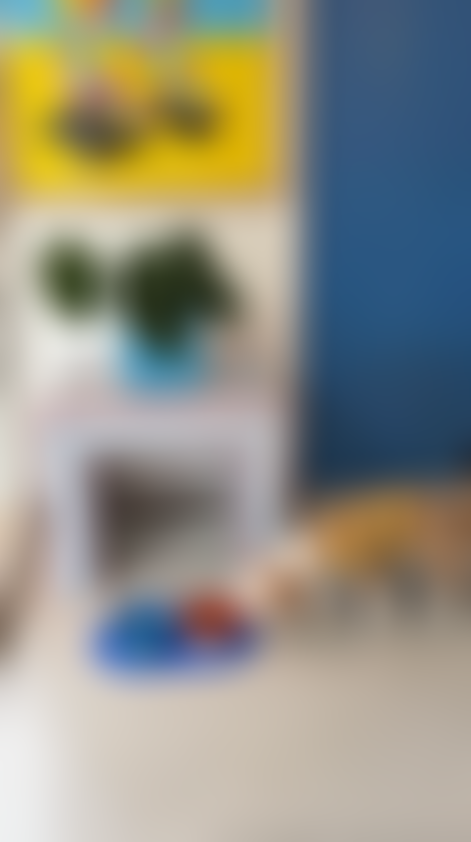 blurred perks background