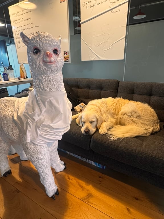 The creepy pet llama that Zenning adopted with our office.