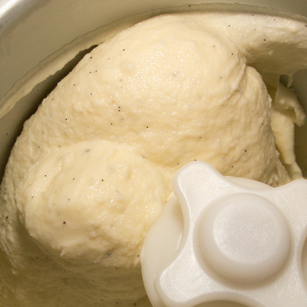 Make your own vanilla ice cream without egg EisMacher.de