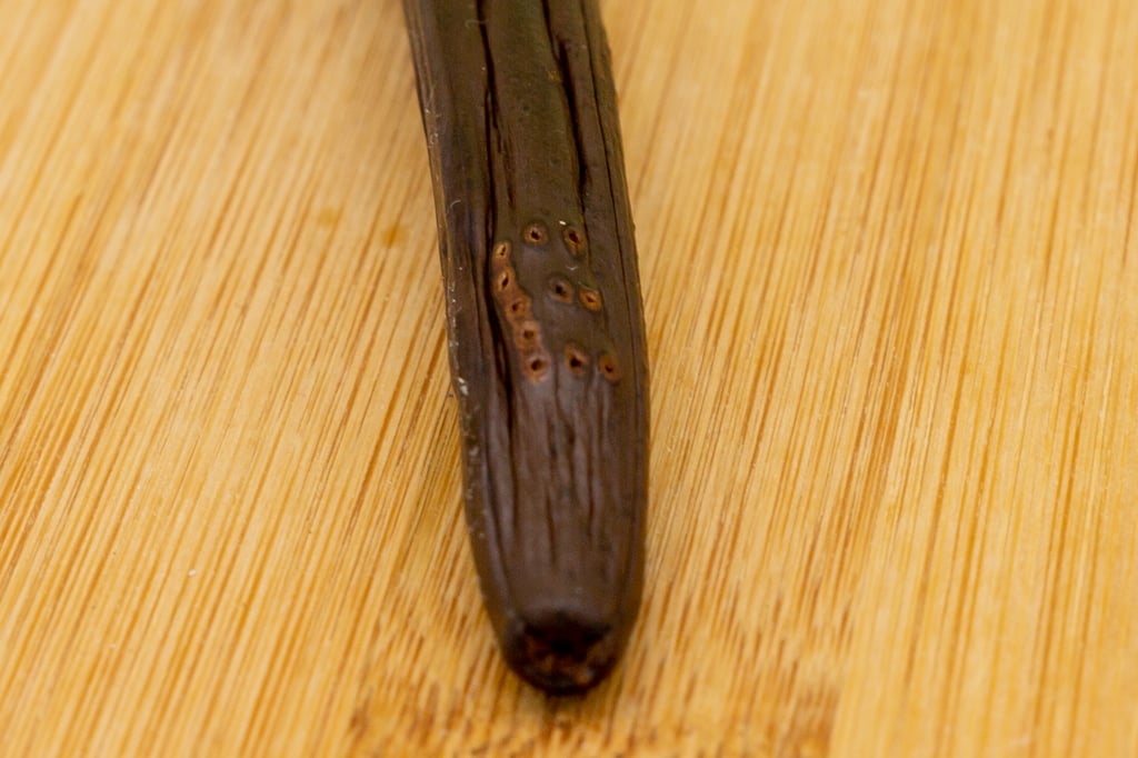 Special pods are sometimes also marked individually. Like the Vanille Bleue marked here with an "E" which is produced in a proprietary process invented by Escale Bleue.