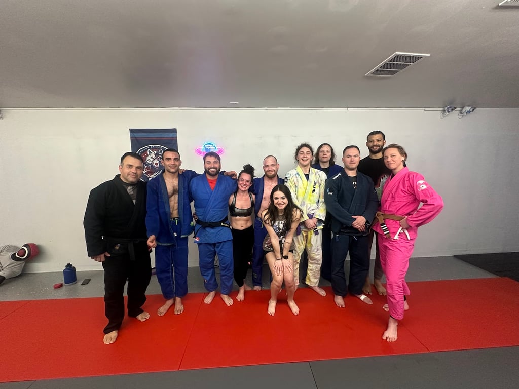 Image 3 of Wolves Academy of Jiu-Jitsu