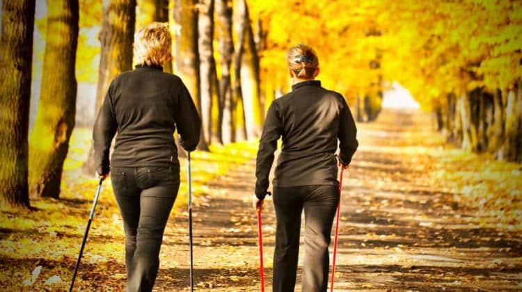 Gelukkig en gezond zijn in de herfst_maak een boswandeling magnesium