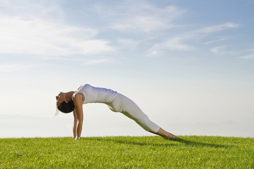 MontenSal Magnesium ontspanning fibromyalgie