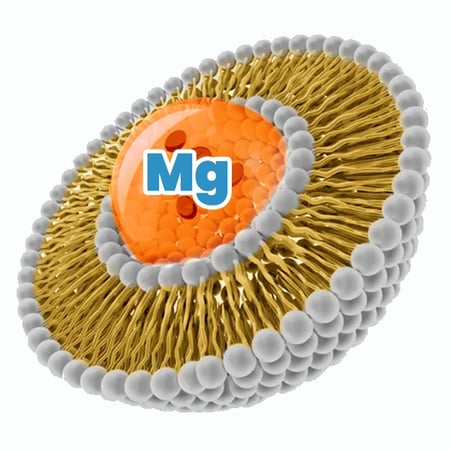Liposomaal Magnesium