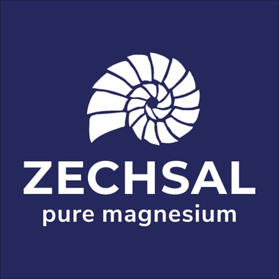 Zechsal