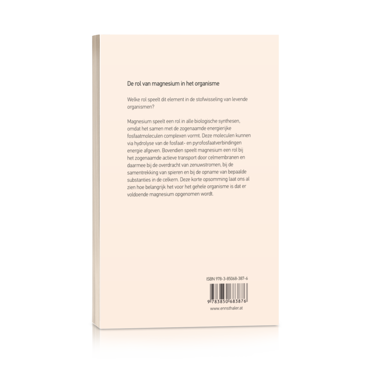 De wonderbaarlijke werking van magnesium - Afbeelding 2