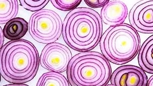 Purple shallot onions cut into circles and spread on a white surface showing the layers of onions.