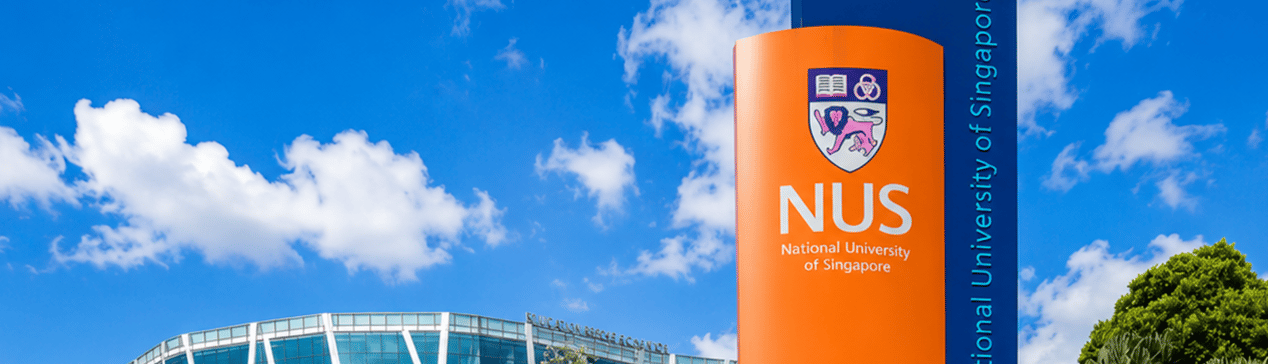NUS ASEAN Undergraduate Scholarship