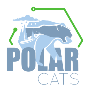 Holiday Bowl- Jinglin All the Way Polar Cat Race 1- Festive 5k Logo