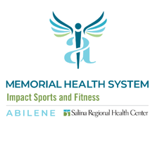 Impact the Cause logo