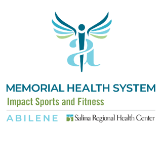 Impact the Cause Logo