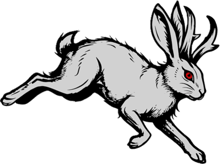 JACKALOPE TRAIL RUN logo