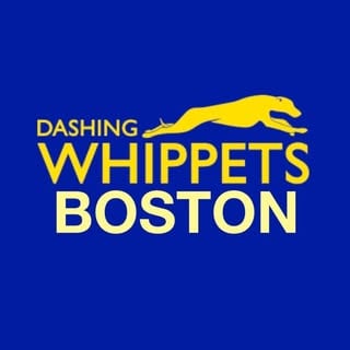 Dashing Whippets Running Team – Boston logo