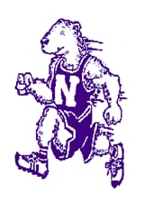 Polar Bear 5k logo