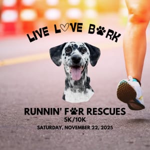 Runnin' for Rescues 5K/10K Logo