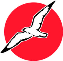 Women's Distance Festival 5K logo