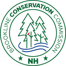 Brookline Turkey Fun Run & Walk logo