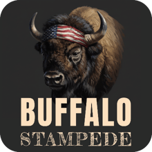 Buffalo Stampede 5K logo