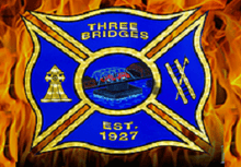 Three Bridges Five Mile Road Race, part of the "LDR Championship Series" logo