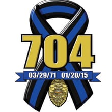 704 Blue Run logo