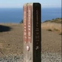 2027 Stinson Beach/Muir Woods Marathon, Half Marathon & 7 Mile Logo