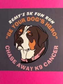 Remy’s Run/Walk logo