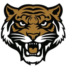 Southern Alamance Middle School Tigers 5k/Fun Run logo
