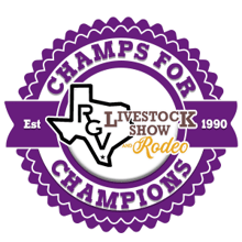 Boot Run 5K - RGVLS Champs for Champions logo
