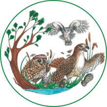 Raptor Run 5K logo